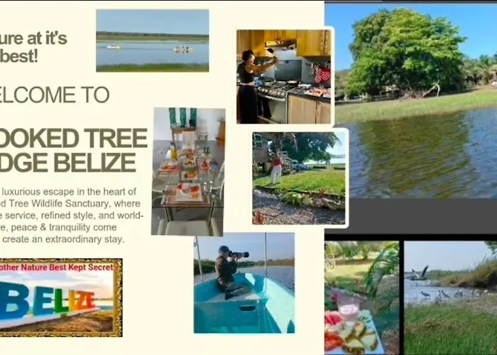 Crooкed Tree Lodge Belize