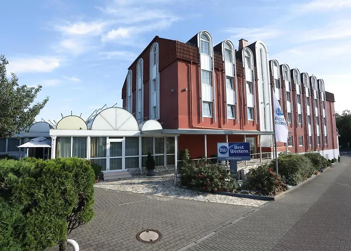 Western Rosenau