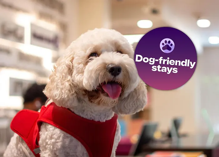 Premier Inn Al Jaddaf
