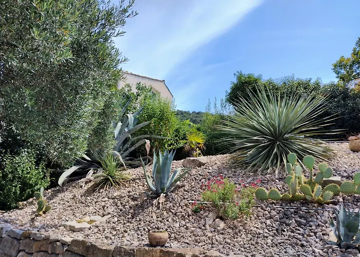 Les agaves piscine panoramique vue exceptionnelle