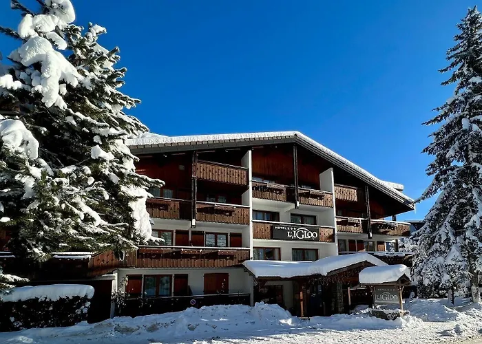 Hôtel Igloo