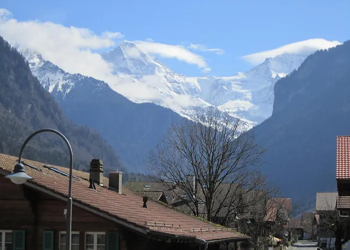 Baeren Hotel, The Bear Inn