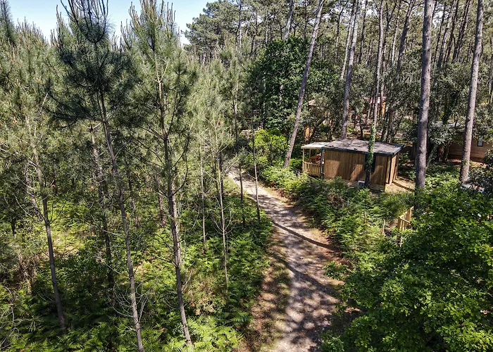 Green Resort