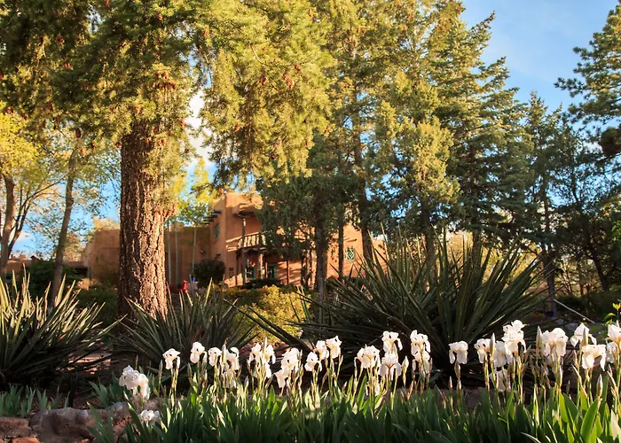 Inn Of The Turquoise Bear