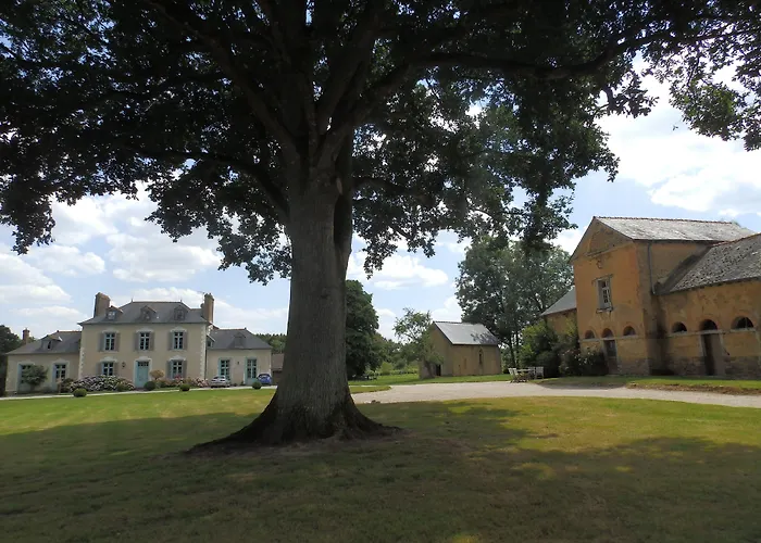 Château Du Pin - Les Collectionneurs