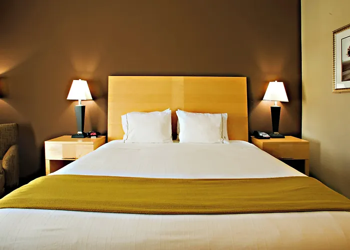 Holiday Inn Express Hotel And Suites Borger By Ihg