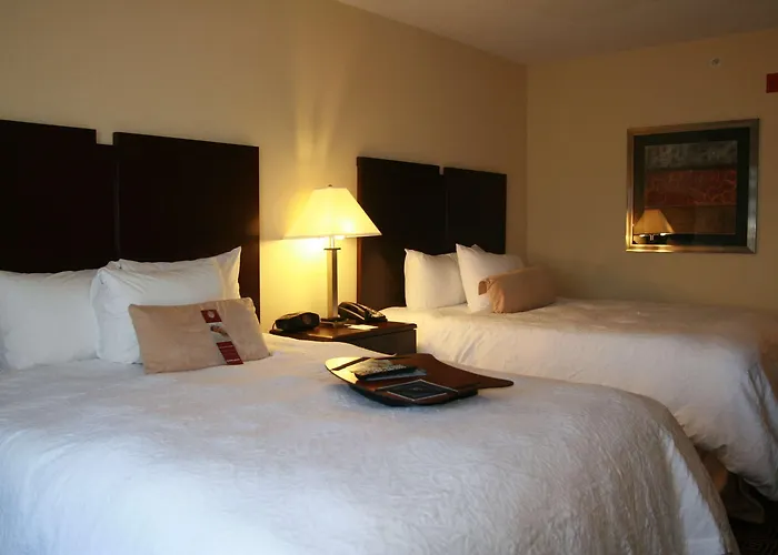 Hampton Inn & Suites Orlando-John Young Parkway/South Park