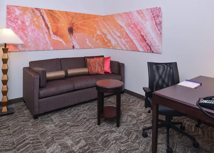 Springhill Suites By Marriott Oklahoma City Airport