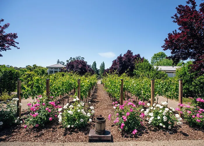 Carneros And Spa