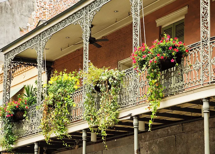 Indigo - French Quarter By Ihg