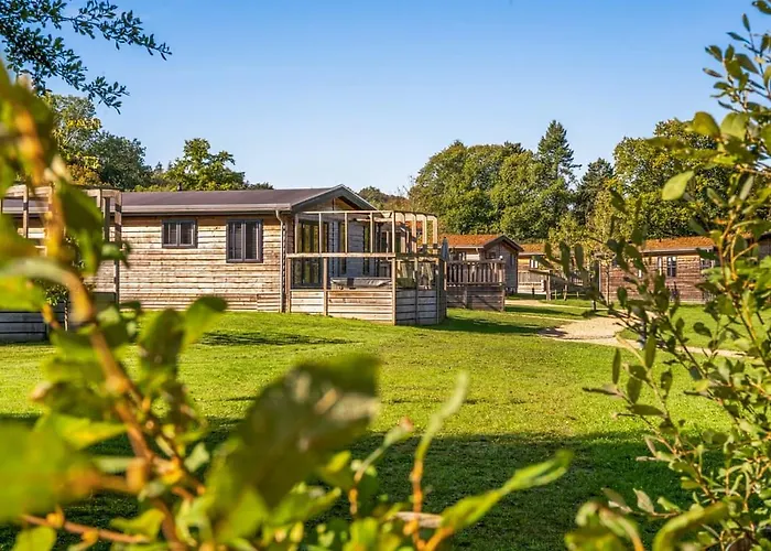 Cherry Bird Lodge Escape