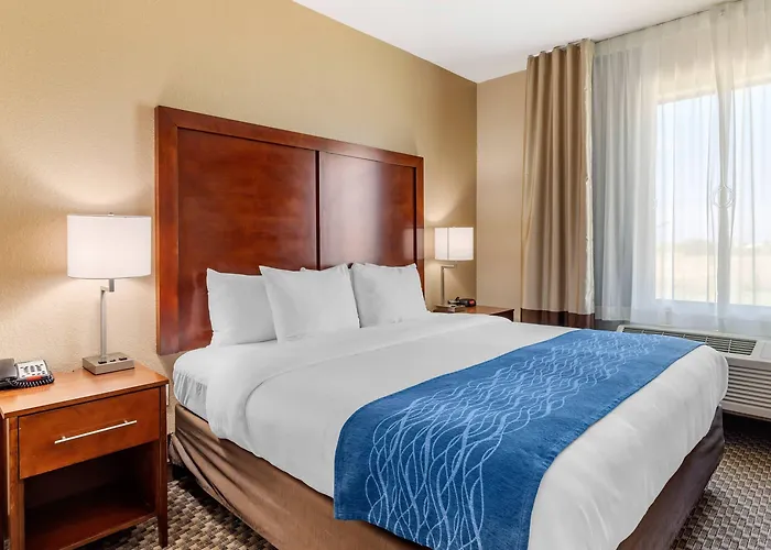 Comfort Inn & Suites Navasota