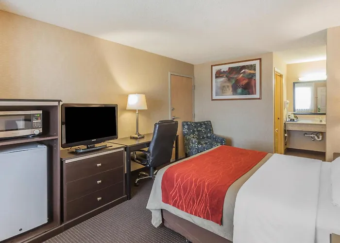 Comfort Inn On The Bay