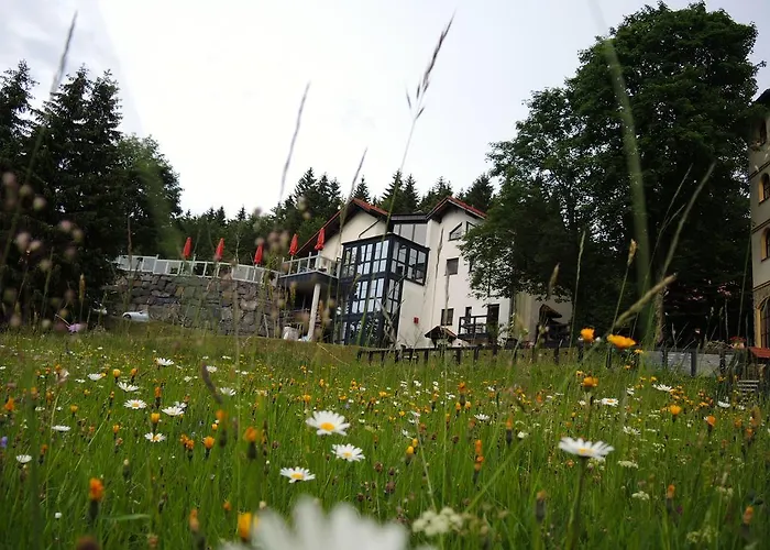 Gastinger Hotel-Restaurant Schmiedefeld am Rennsteig