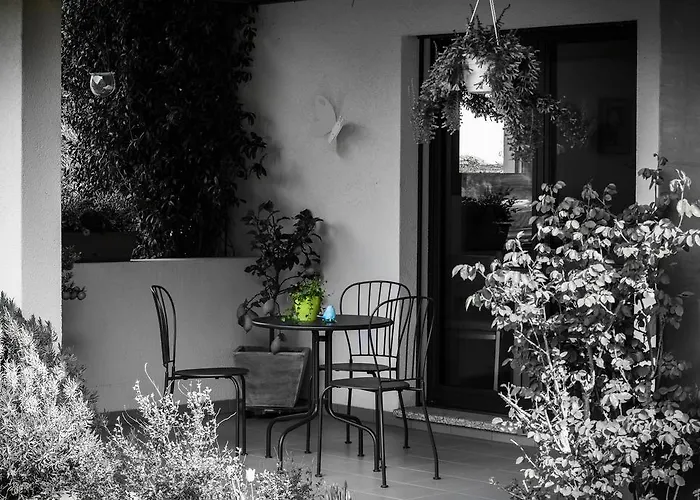 B&B Il Vigneto