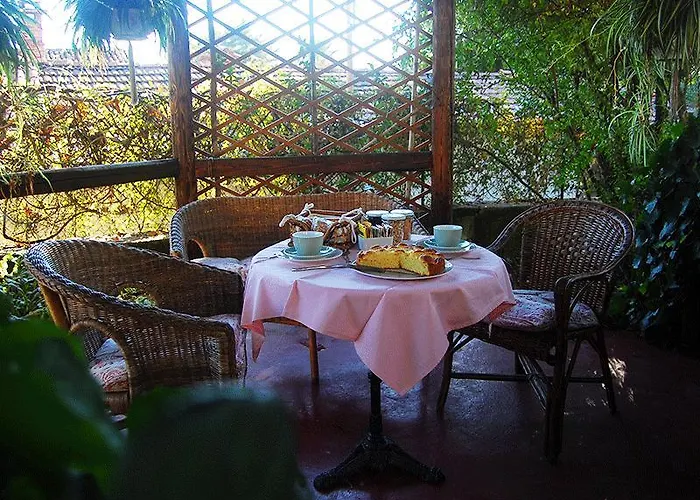 Le Camelie
