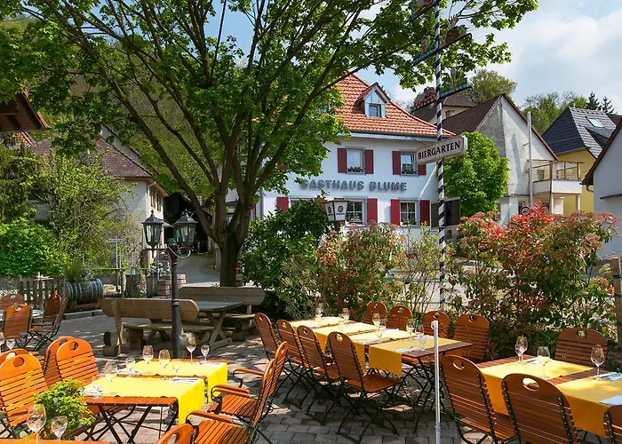 Zur Blume Hotel & Restaurant Efringen-Kirchen Bei Basel