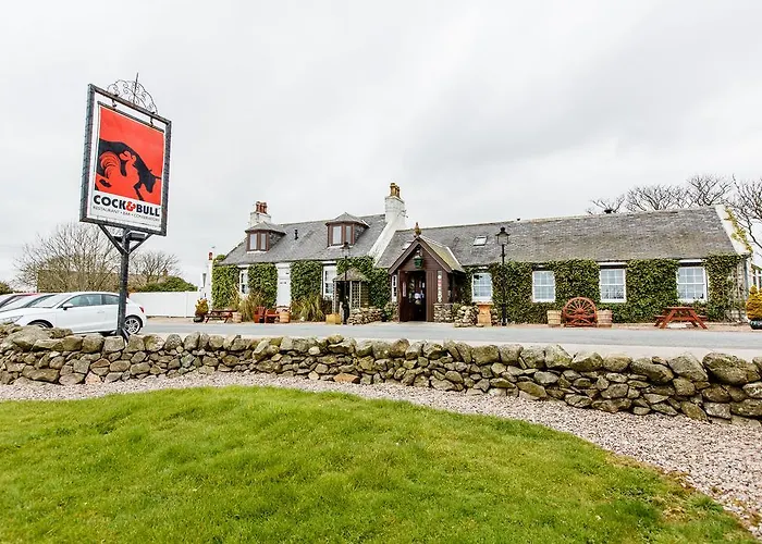 The Cock And Bull