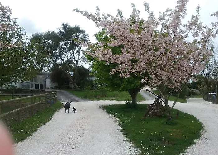 The Swallows Guest House