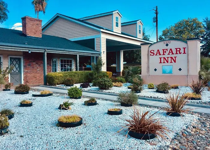 Safari - Chico