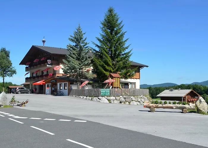Alte Tanne