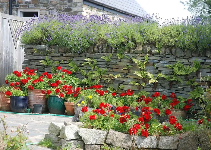 The Elephants Nest Inn Marytavy