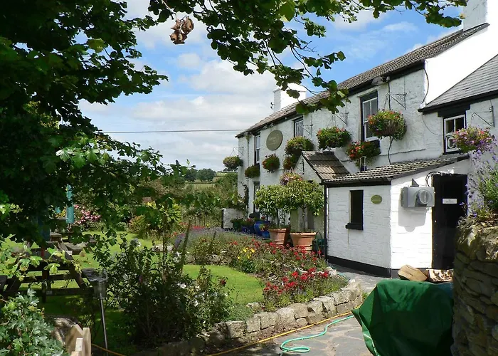 The Elephants Nest Inn Marytavy