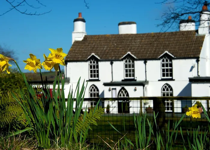 Tudor Lodge Bed & Breakfast