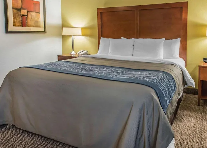 Comfort Inn Belle Vernon