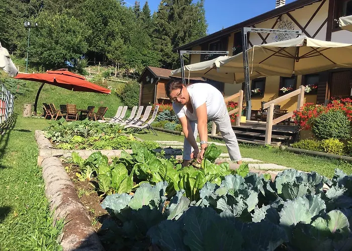 La capr'allegra