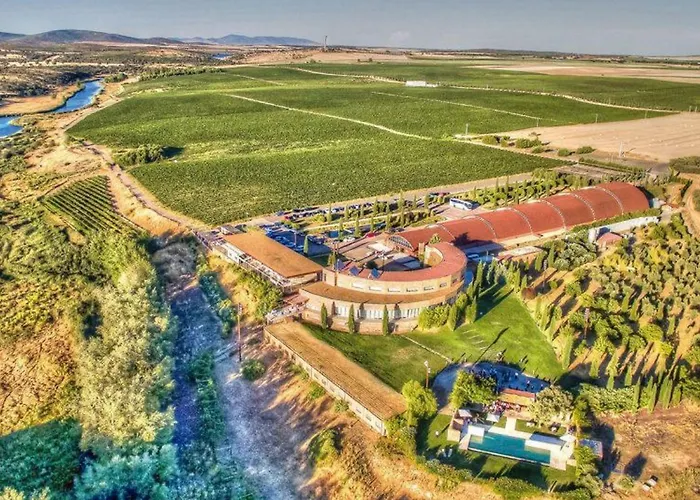 Hotel Bodega Pago Del Vicario