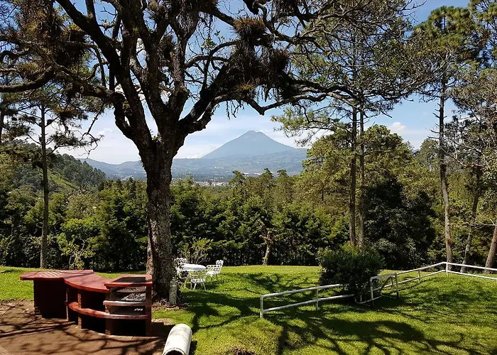 Bosque Macadamia