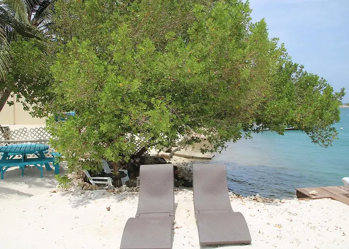 Coral Reef Beach