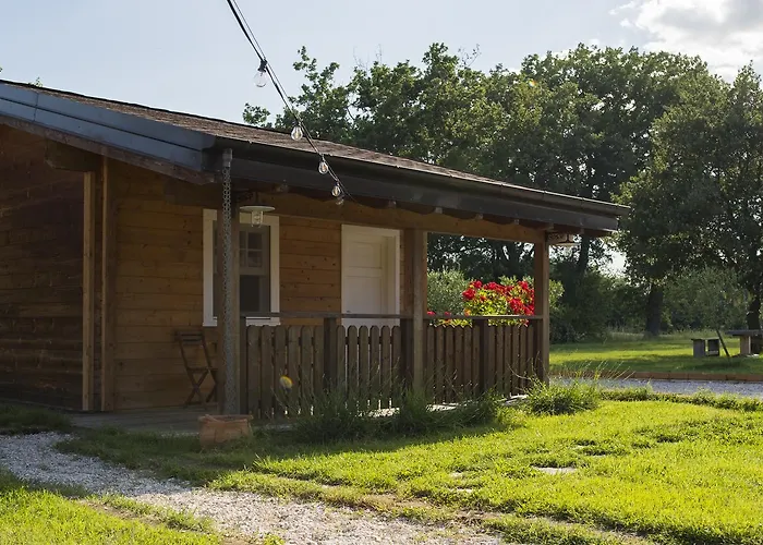 Evolution Camp