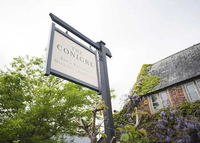 The Conigre
