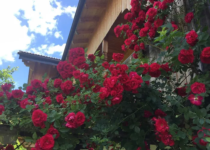 B&B Ciasa Bruescia San Vigilio Di Marebbe