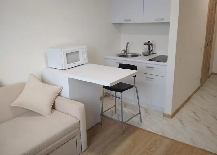 Smart-House Smart-Kvartira S Kukhnei.