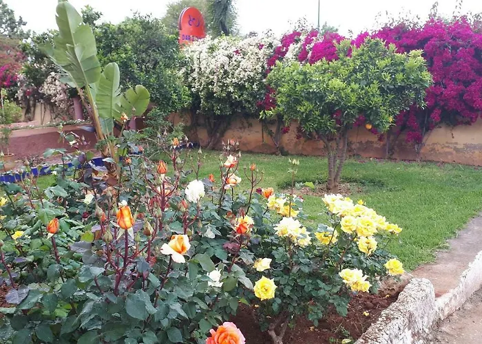 Riad Dar Zidane Meknès