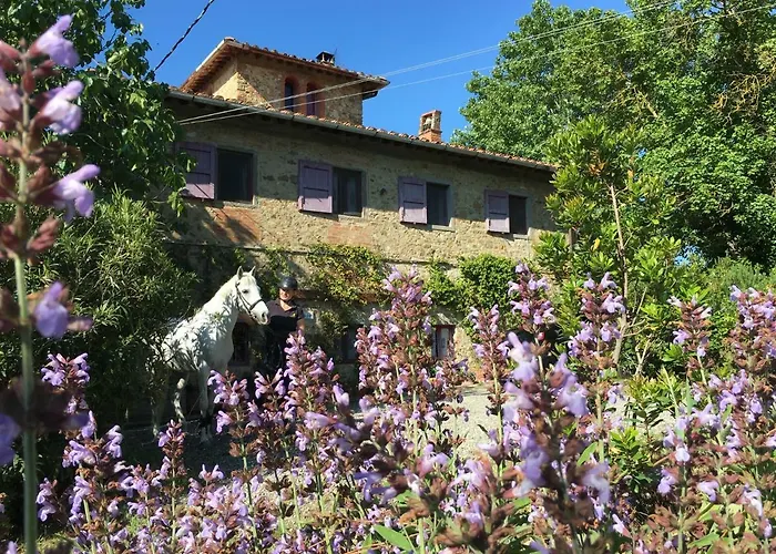 Il Paretaio