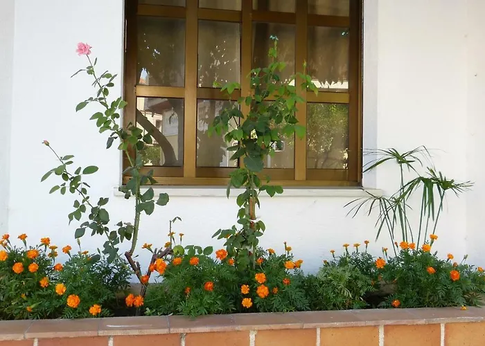 Hostal Candeleda