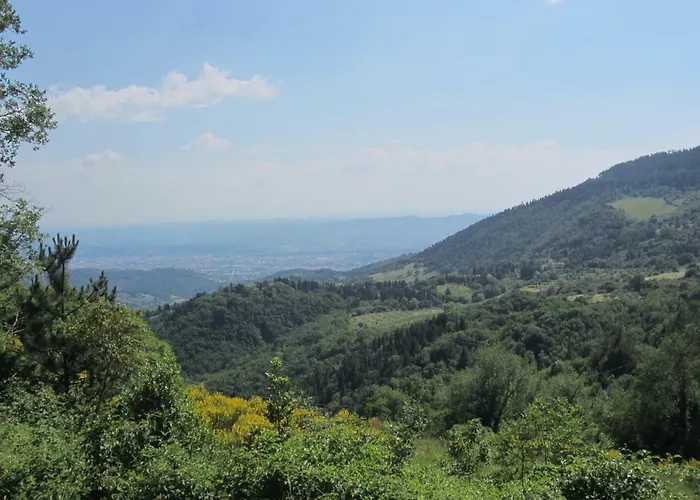 Hotel MonteMorello