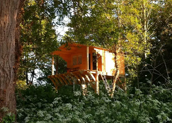 Cabane Dans Les Arbres Avec Bain Nordique