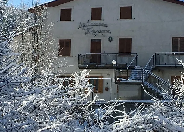Il Bucaneve