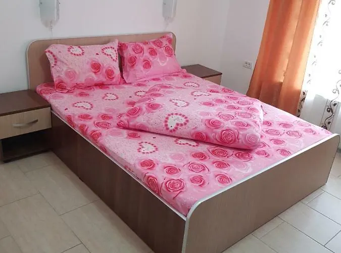 Hotel Onalisa Arad