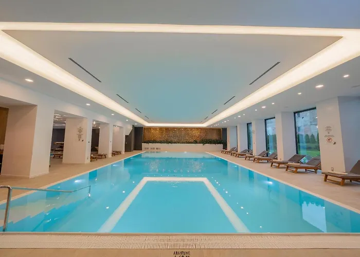 Hotel International