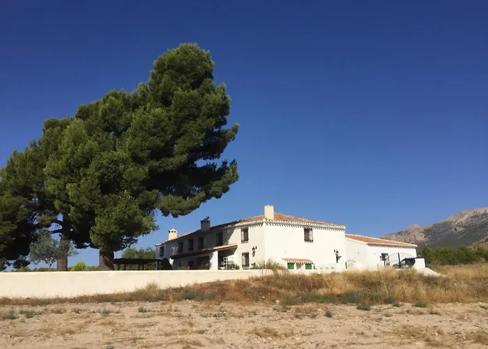 B&B Cortijo El Ciruelo