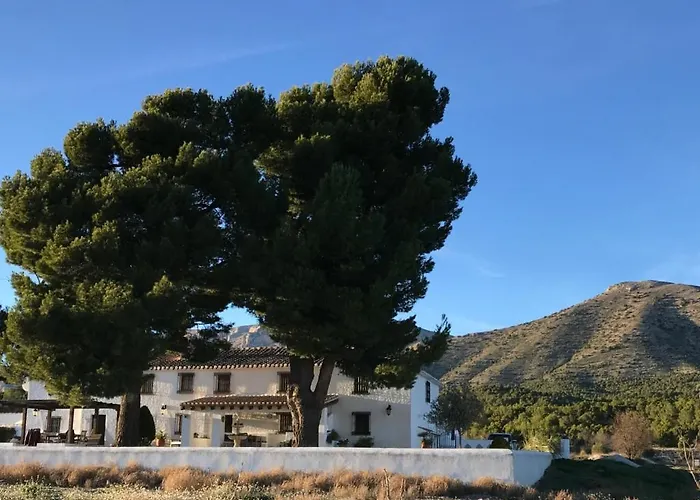 B&B Cortijo El Ciruelo