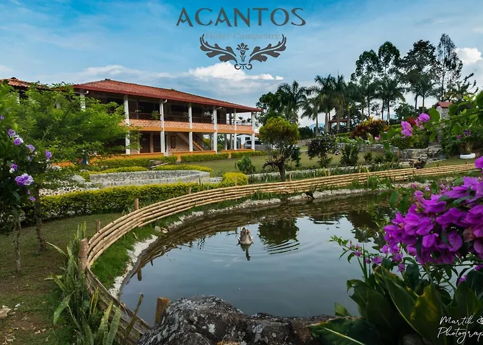 Acantos Campestre