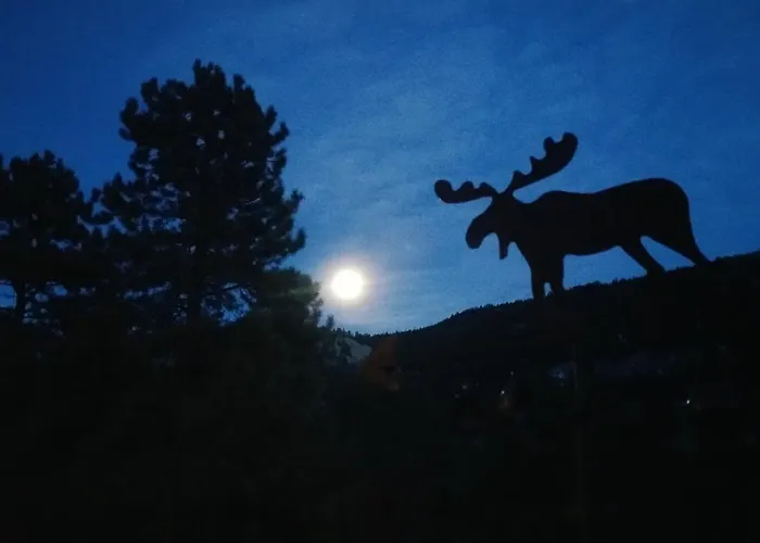 Alpine Moose Lodge Lake City