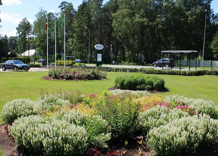 Pine Resort